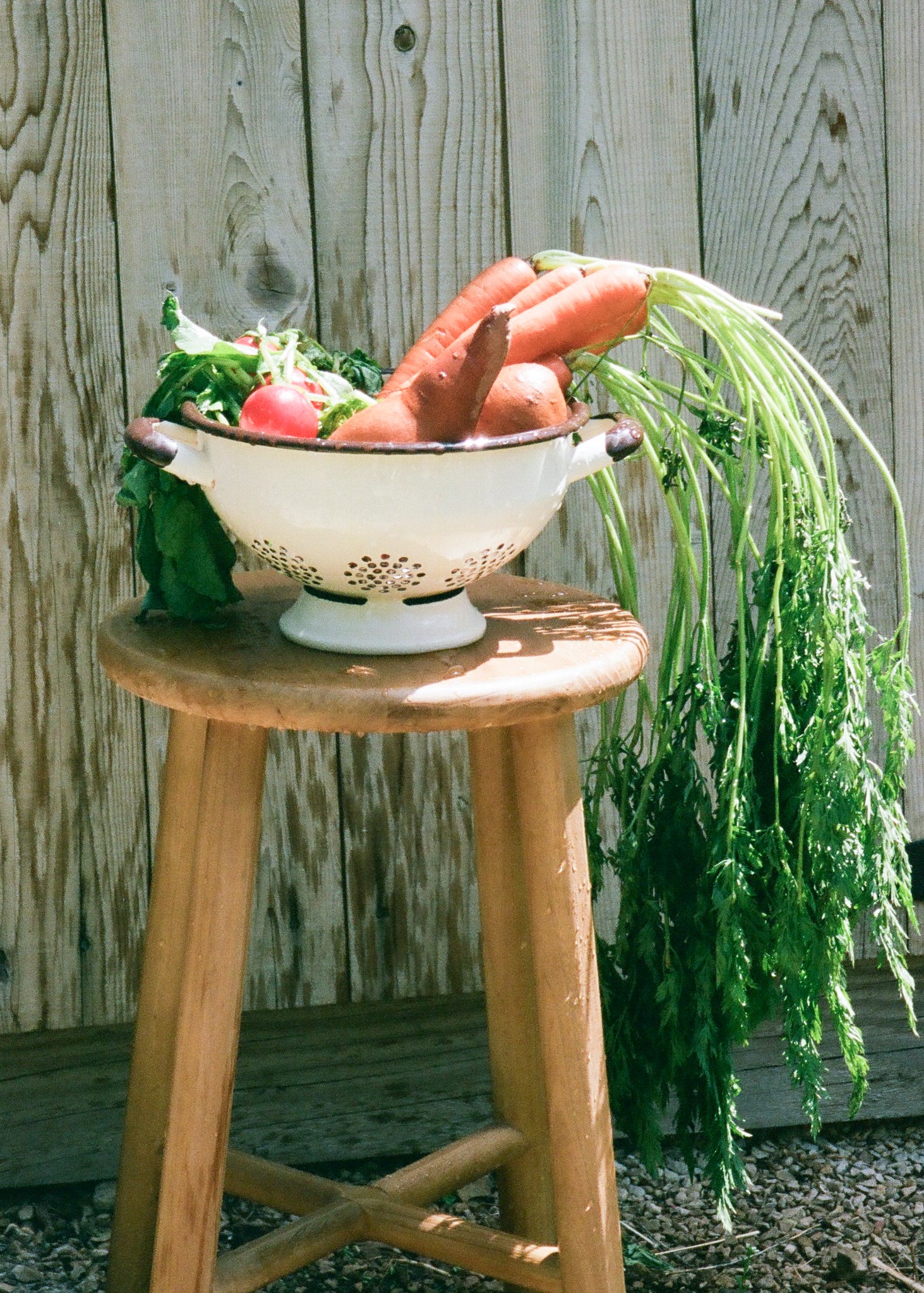 Enamel Colander - Ballerina Farm