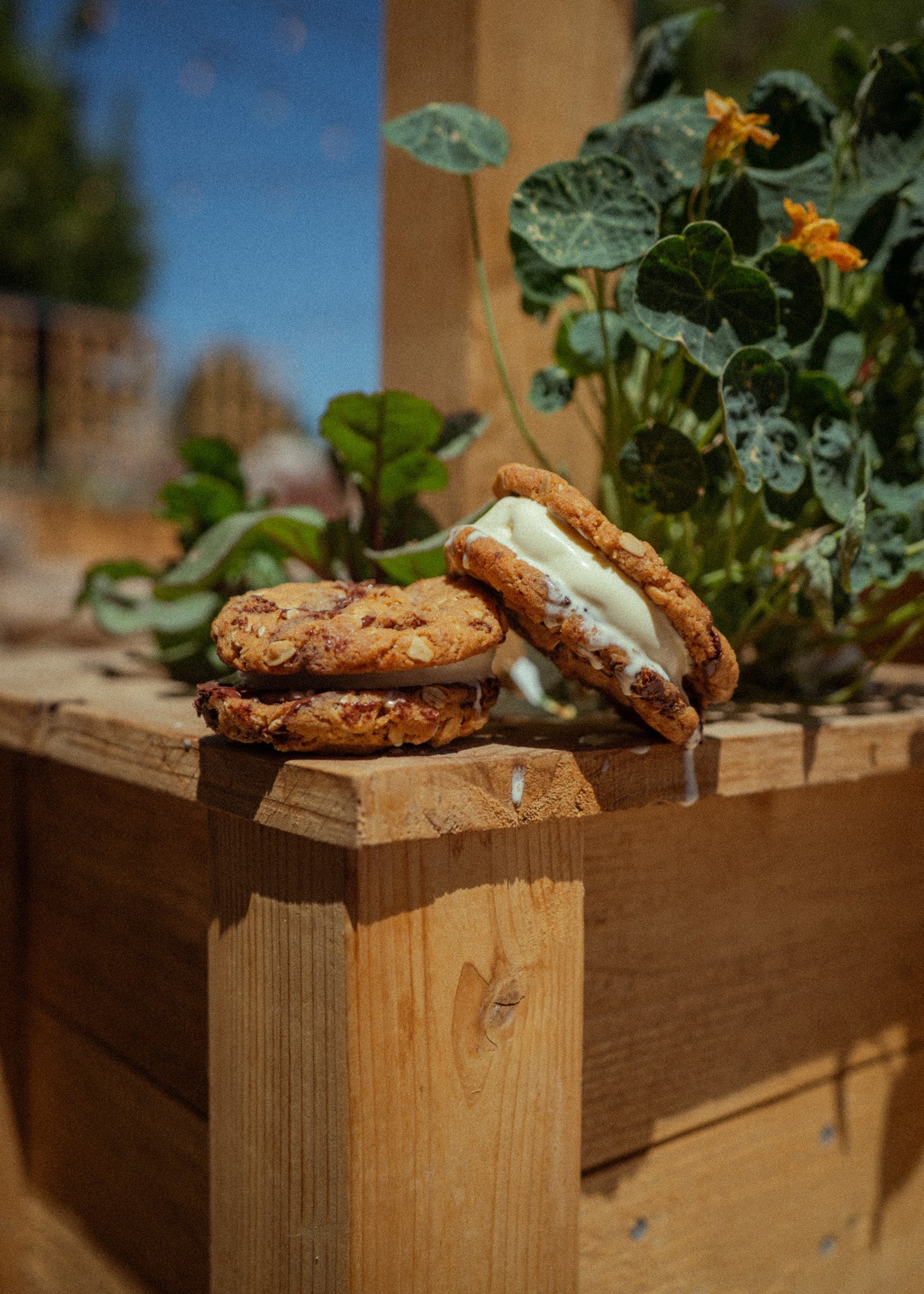 Browned Butter Oatmeal Cookie Ice Cream Sandwich