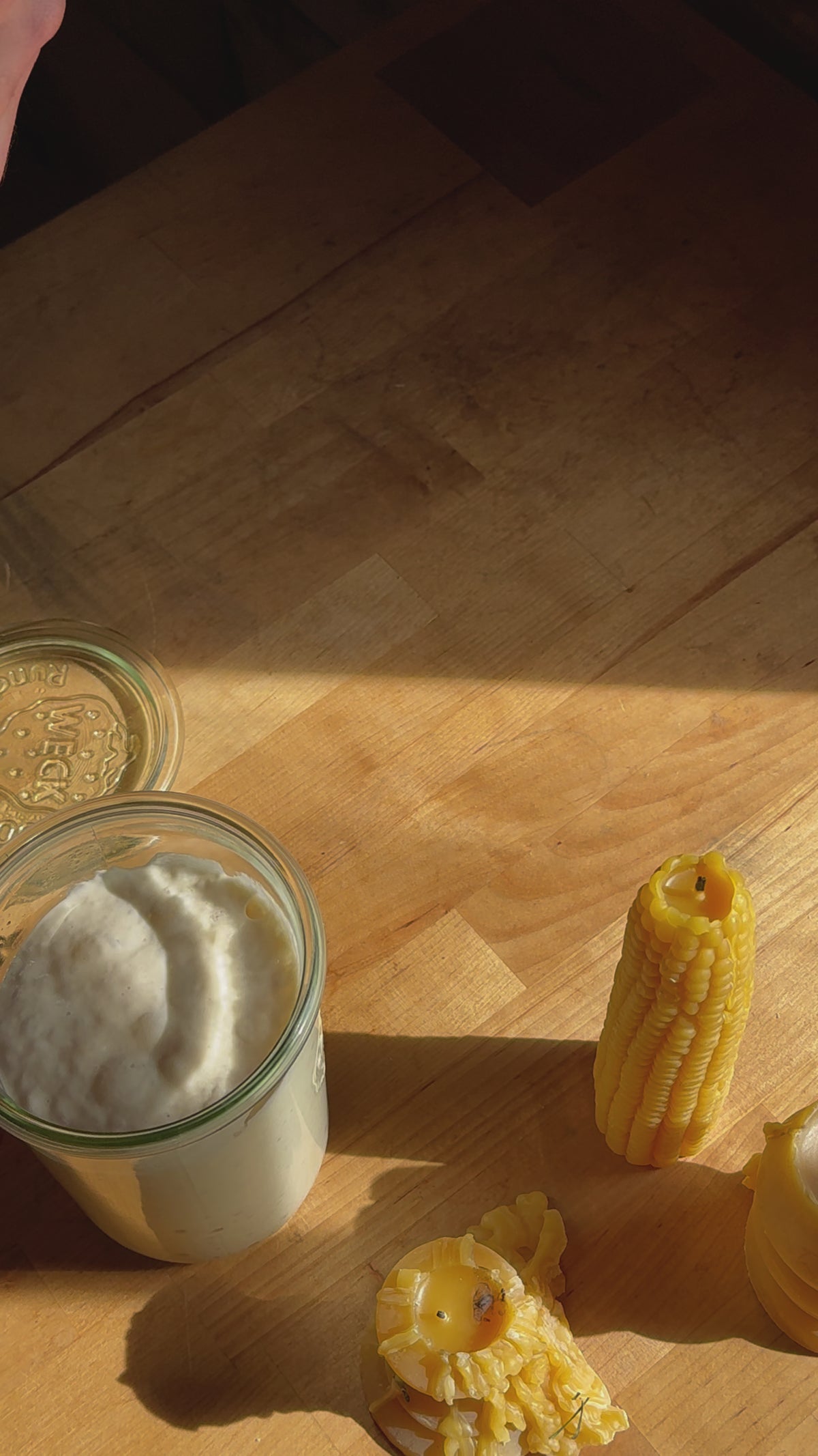 Willa Sourdough Starter