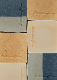Hand & Body Soap - Ballerina Farm