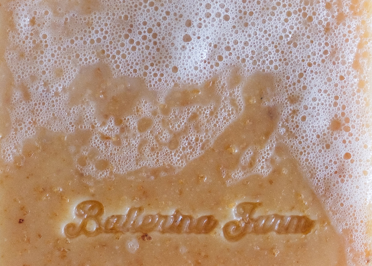 Hand & Body Soap - Ballerina Farm