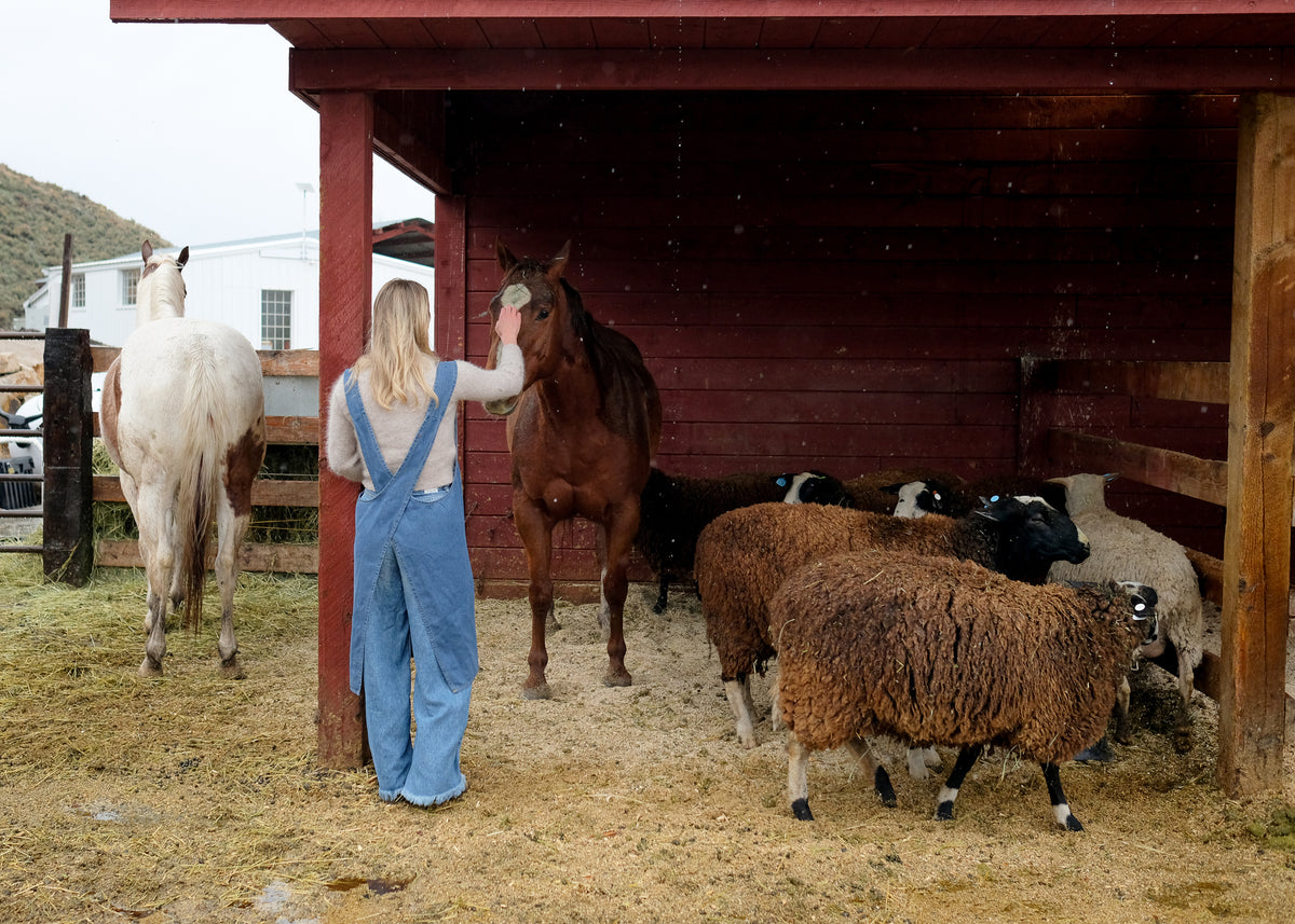 Adult Jour Apron - Ballerina Farm