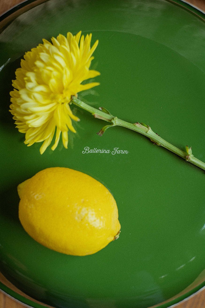 ballerina-farm-everyday-bowl-green-3