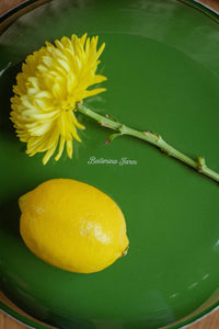 ballerina-farm-everyday-bowl-green-3