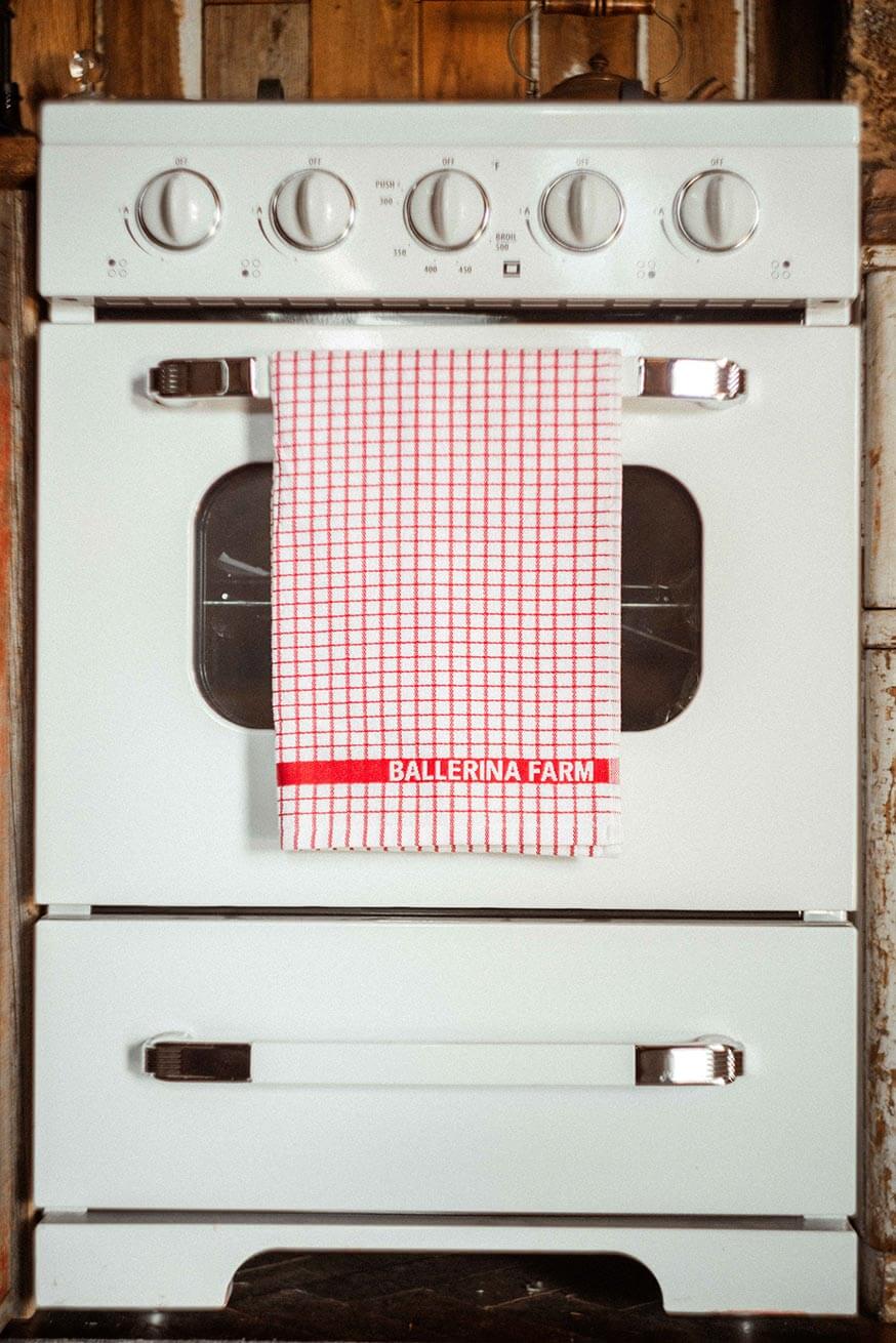 Everyday Dish Towels - Ballerina Farm