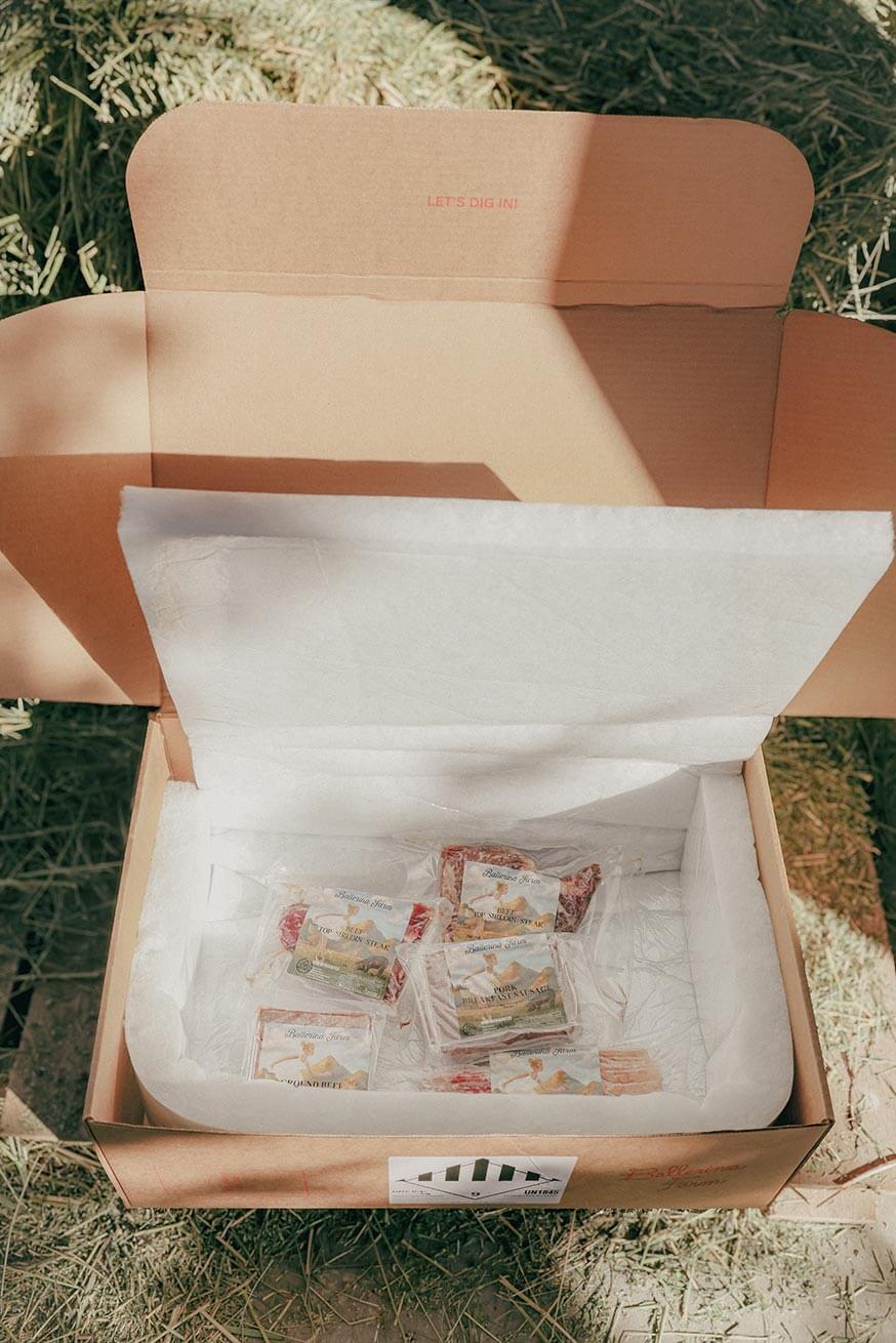 Hannah's Favorites Encore Subscription Box - Ballerina Farm