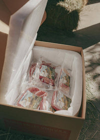 Hannah's Favorites Encore Subscription Box - Ballerina Farm