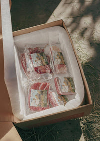 Hannah's Favorites Encore Subscription Box - Ballerina Farm