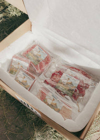 Hannah's Favorites Encore Subscription Box - Ballerina Farm