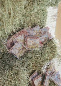 Hannah's Favorites Encore Subscription Box - Ballerina Farm