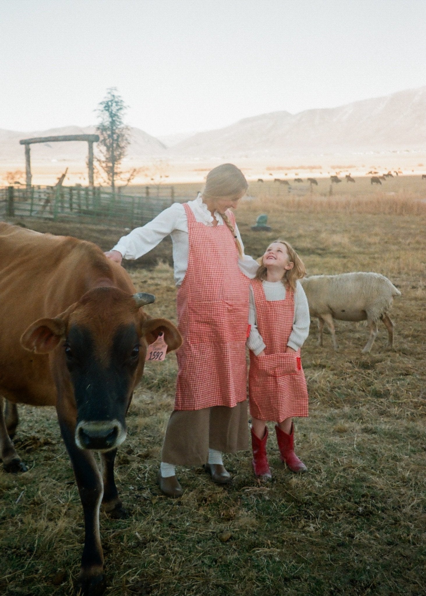 Adult Jour Apron - 168幸运飞行艇官网开奖结果-168幸运飞行艇体彩官方开奖历史记录查询-168飞艇直播-号码预测网站
