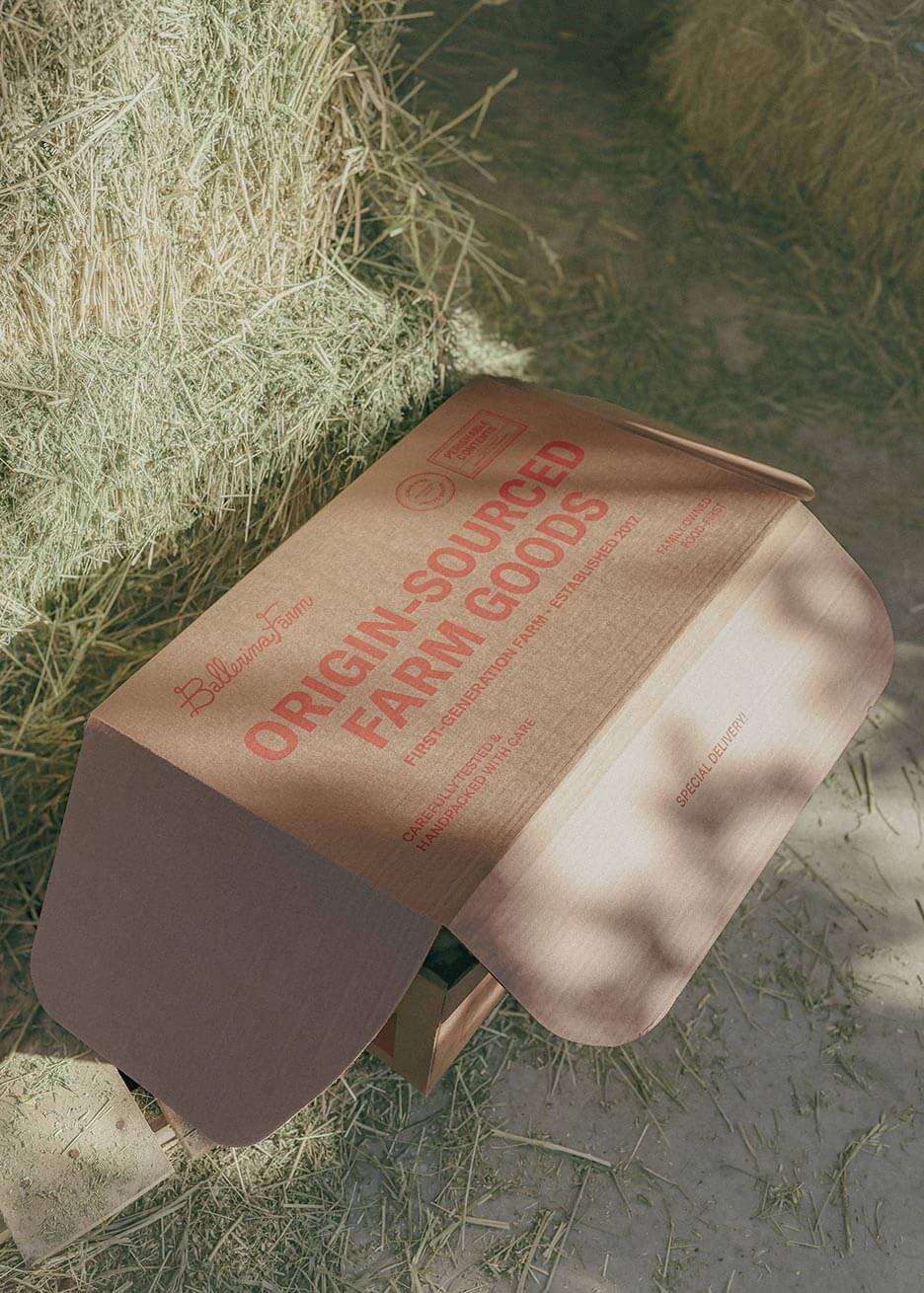 Family Favorites Encore Subscription Box - Ballerina Farm