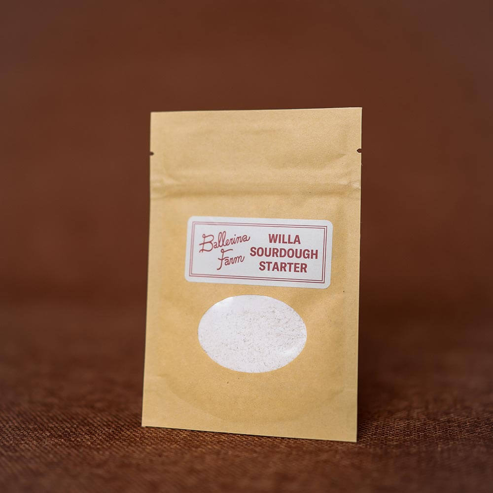 Sourdough Essentials - 168幸运飞行艇官网开奖结果-168幸运飞行艇体彩官方开奖历史记录查询-168飞艇直播-号码预测网站