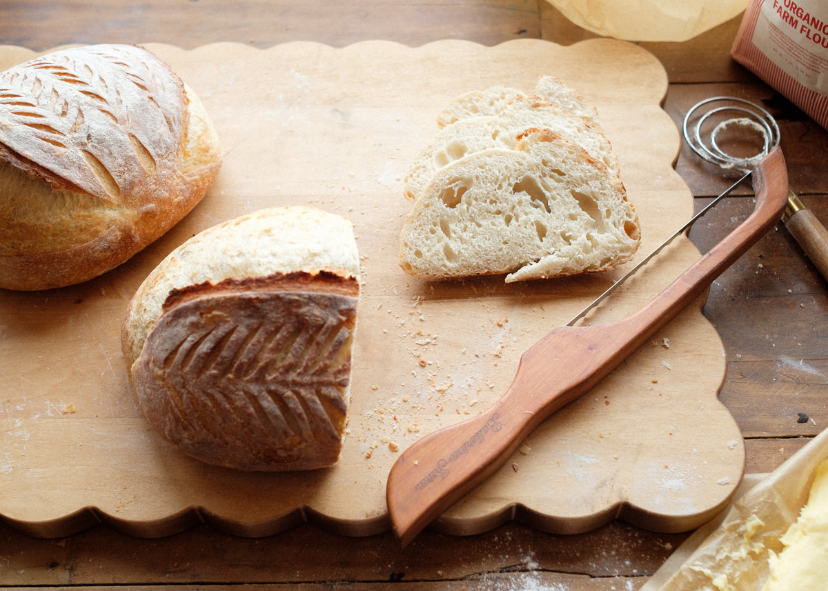 Willa Sourdough Starter - Ballerina Farm