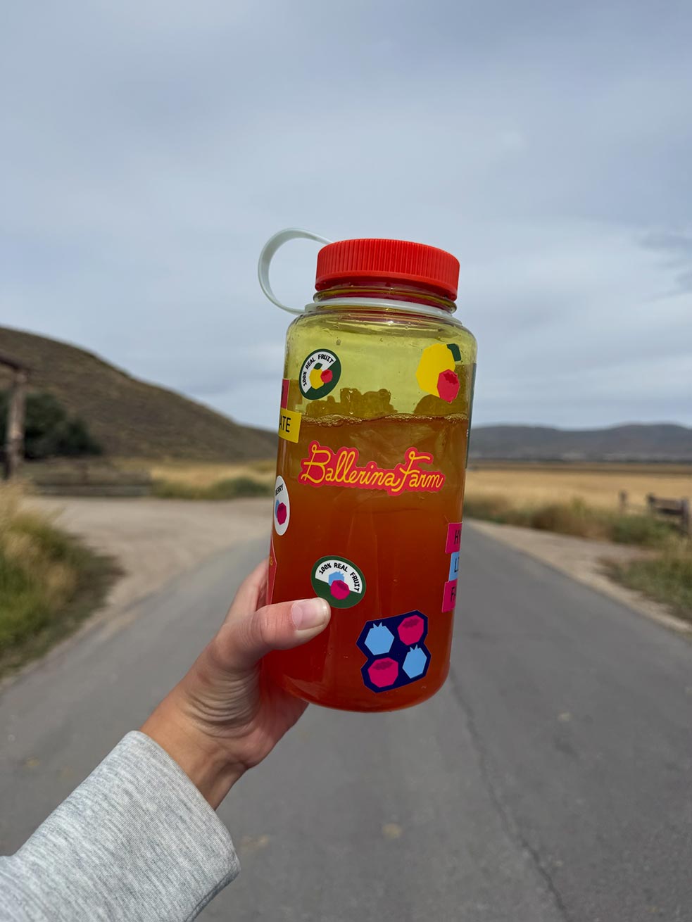 Water Bottle & Sticker Sheet - Ballerina Farm